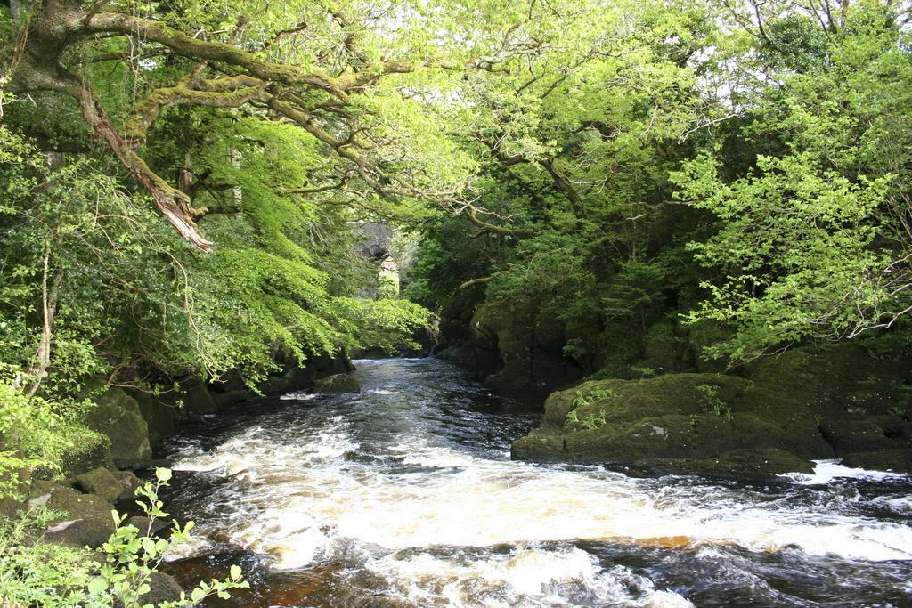 Feirm Cottage Kenmare Exteriér fotografie